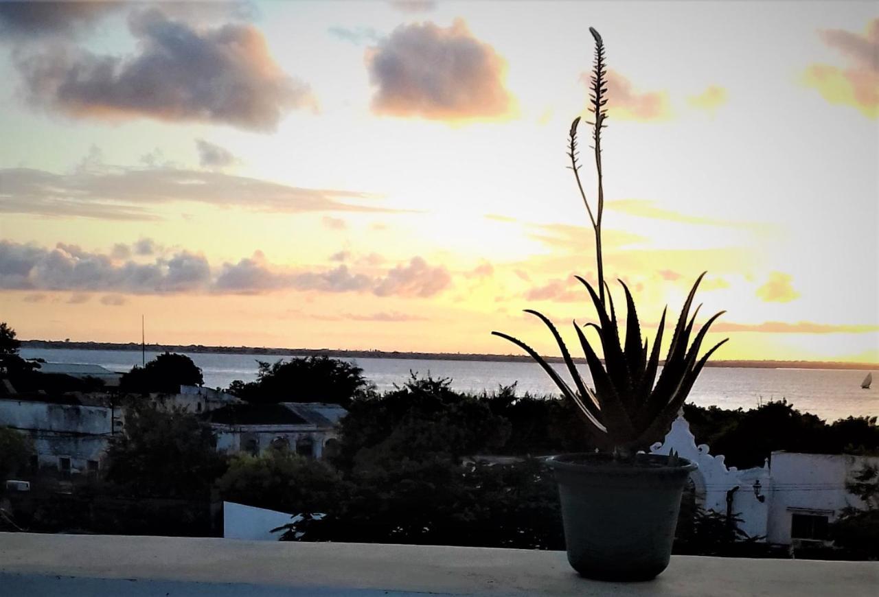 Jardim dos Aloés, Unique B&B - Casa de Charme Île de Mozambique Extérieur photo