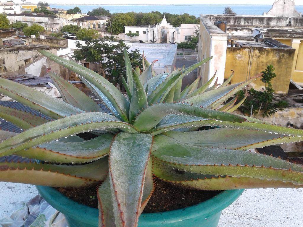 Jardim dos Aloés, Unique B&B - Casa de Charme Île de Mozambique Extérieur photo